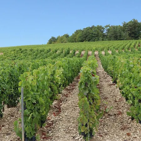 Prázdninový dům La Lombardi En Champagne, Avec Piscine Privee Et Jacuzzi *